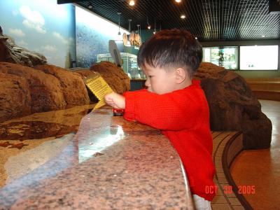 DSC05174_resize.JPG