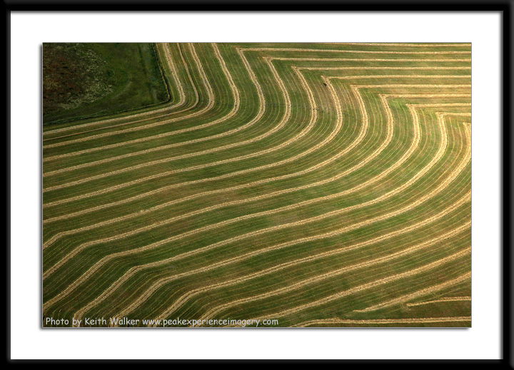 Aerial-0031.JPG