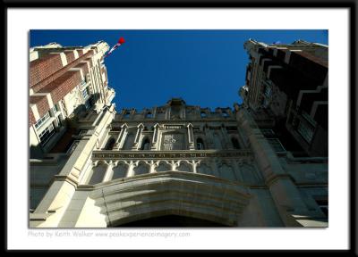 Arch-0005.JPG
