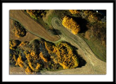 Aerial-0074.JPG