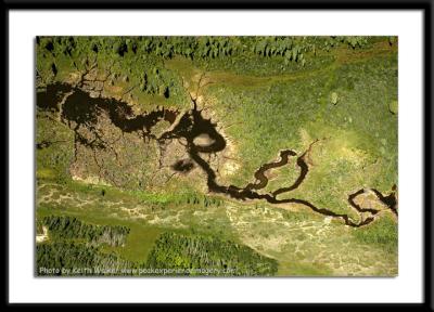 Aerial-0096.JPG