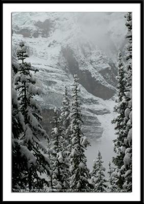 Scenic-Nat-0015.JPG