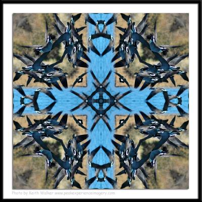 Geometrics-0010.jpg