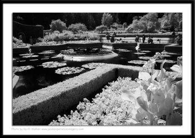 Infrared - 007.JPG