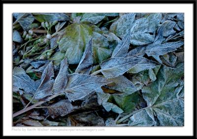 DSC_0025.JPG