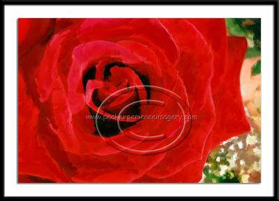 FLO-026 - Red Rose Detail.jpg