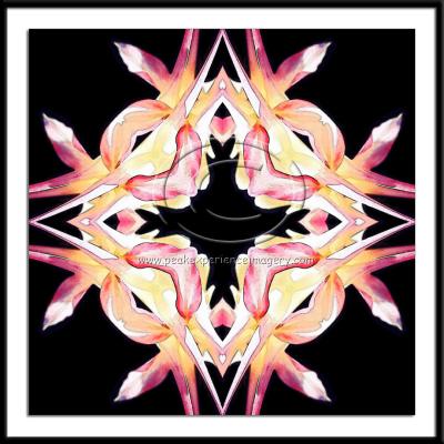 GEO-015 - Columbines on Black Geometric No 1.jpg