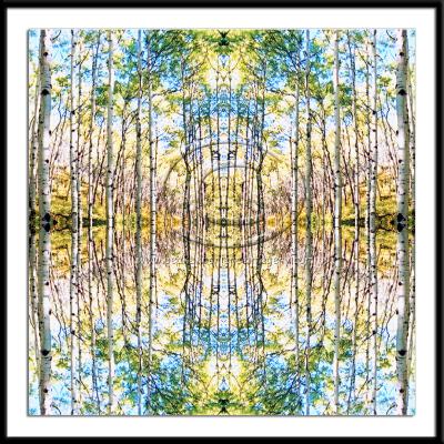 GEO-024 - Delicate Light in the Aspens Geometric.jpg