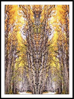 GEO-026 - Aspen Cathedral Geometric No 1.jpg