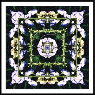 GEO-032 - Snapdragon Paradise Geometric.jpg