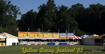 Yellow Daisy Festival 2005