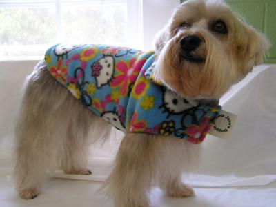 For Doggie Jackets-Click On Picture jfulton0912@aol.com