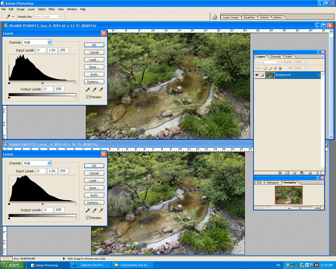 Screen_Shot1DMKII__1DsMKII-C1_371-DynamicRange-c.jpg