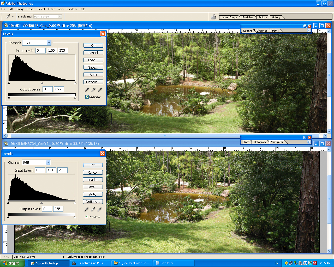 Screen_Shot1DMKII__1DsMKII-C1_371-DynamicRange-d.jpg