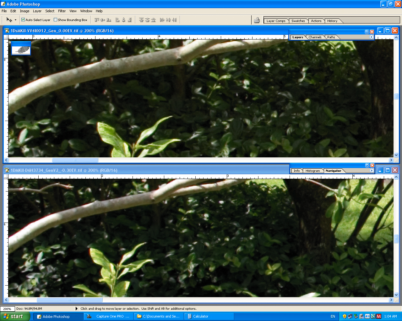 Screen_Shot1DMKII__1DsMKII-C1_371-ShadowNoise-a.jpg