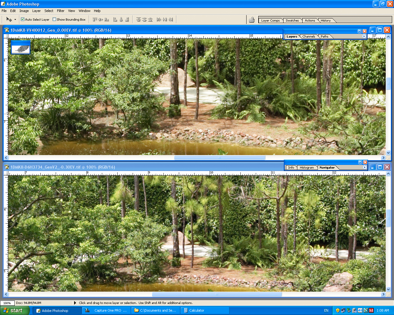 Screen_Shot1DMKII__1DsMKII-C1_371-Sharpness-a.jpg