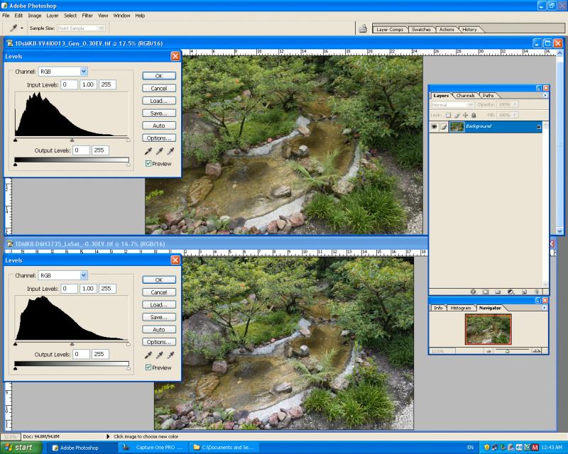 Screen_Shot1DMKII__1DsMKII-C1_371-DynamicRange-c.jpg