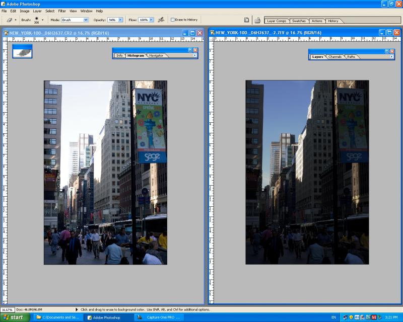 Screen_Shot1DMKII-DynamicRangfe-ACR-a.jpg