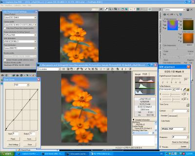 Screen_Shot1DMKII-RAW_Orange-a.jpg