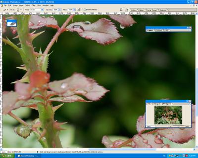 Screen_Shot1DMKII-JPG-FOCUS_Proof-1.jpg