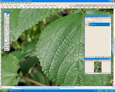 Screen_Shot1DMKII-JPG-FOCUS_Proof-2.jpg