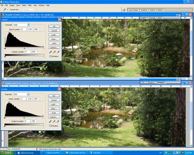 Screen_Shot1DMKII__1DsMKII-C1_371-DynamicRange-d.jpg