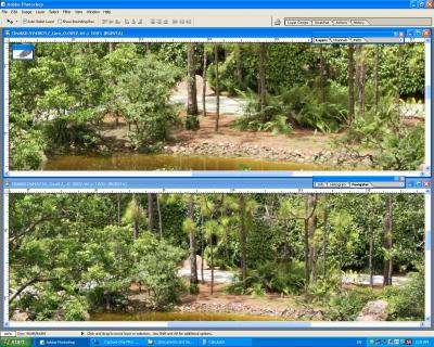 Screen_Shot1DMKII__1DsMKII-C1_371-Sharpness-a.jpg