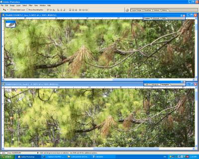 Screen_Shot1DMKII__1DsMKII-C1_371-Sharpness-b.jpg