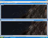 Screen_Shot1DMKII-C1_vs_DPP-mRadius-Noise-a.jpg
