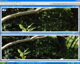 Screen_Shot1DMKII__1DsMKII-C1_371-ShadowNoise-a.jpg