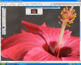 Screen_Shot1DMKII__EF_24-105_L-70mm-a.jpg