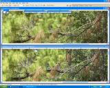 Screen_Shot1DMKII__1DsMKII-C1_371-Sharpness-d.jpg