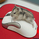56725.gif
