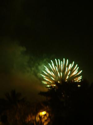 DSCF0137.JPG