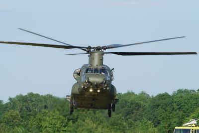 DSC_7389.jpg