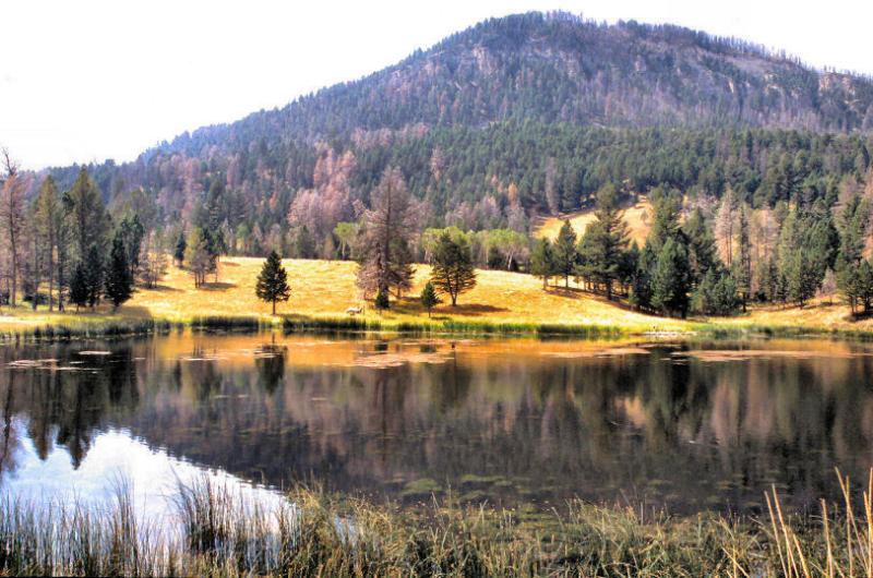 Yellowstone
