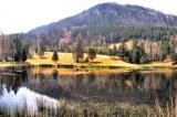 Yellowstone