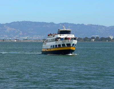 v3/73/280873/3/50598806.BayTourBoat.jpg