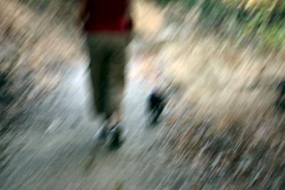 Walking the Dog - Taken by Adin - in-camera effect