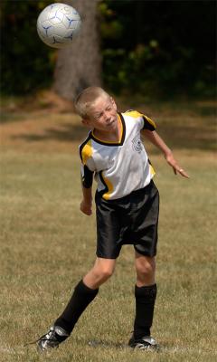 DSC_2541ci.jpg