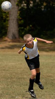 DSC_2542ci.jpg
