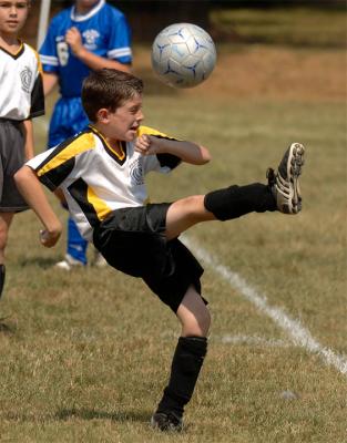 DSC_2463ci.jpg