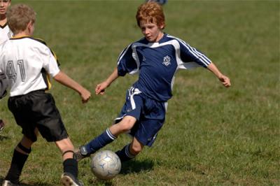DSC_4464fa.jpg