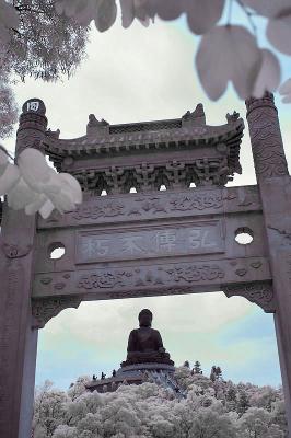 giant Buddha seen through the gate