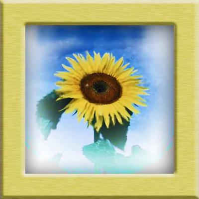 sunflower-impressionist.jpg