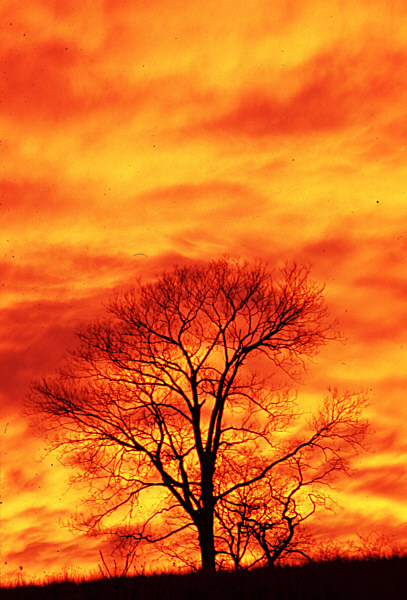 sunrise3 small.jpeg