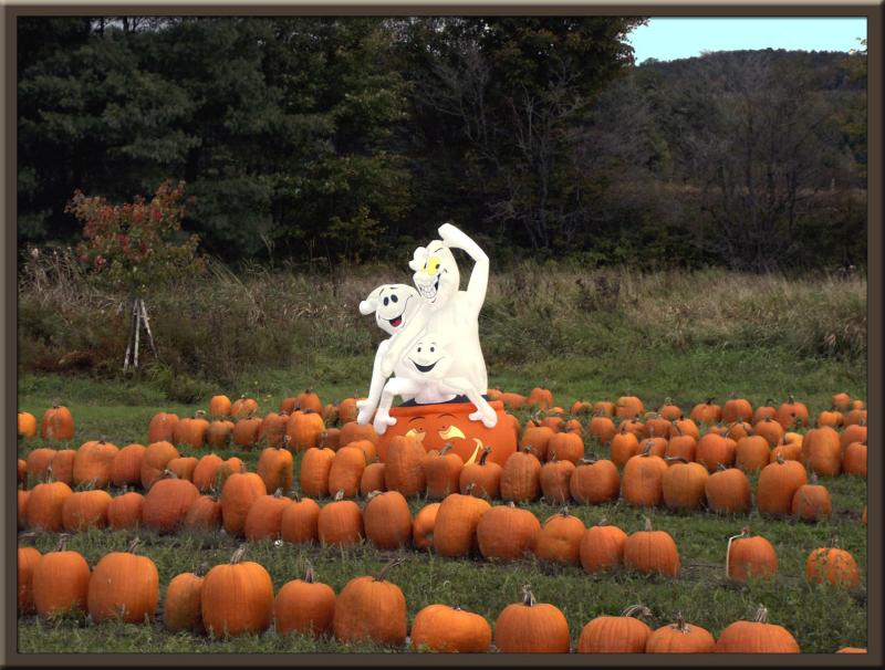 Halloween Mischief