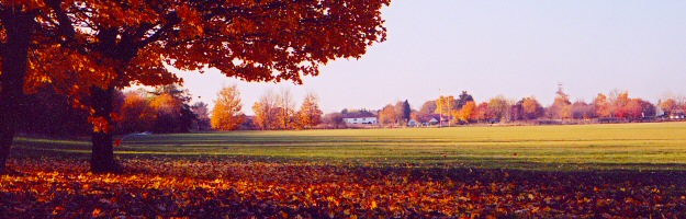nag_autumn13.jpg