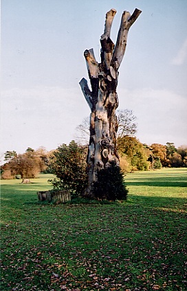 camer park02-j.jpg