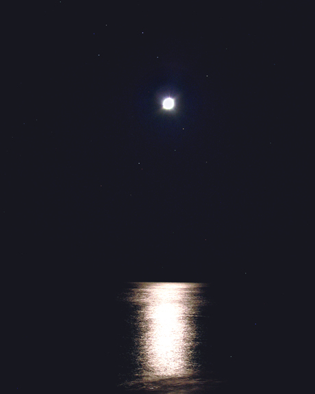 v3/73/469573/1/50839485.Picture043.jpg